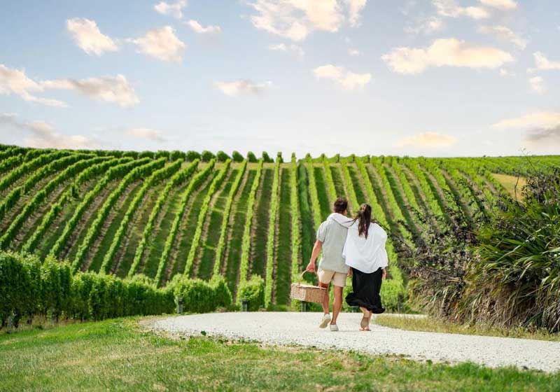 Marlborough – Where the Land Pours Poetry into Every Glass