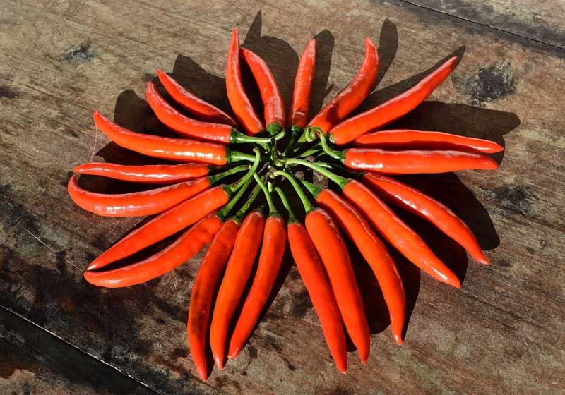 Know Your Creole Spices: A Symphony of Flavour and Tradition