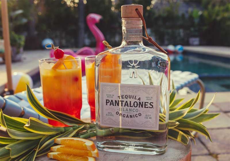 Haunted High Spirits: Halloween with Pantalone Organic Tequila
