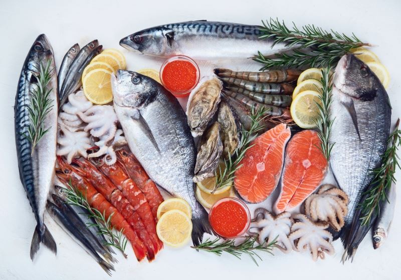 Climate, Currents & Cuisine: How Coastal Chefs Are Cooking With the Sea’s Changing Rhythms