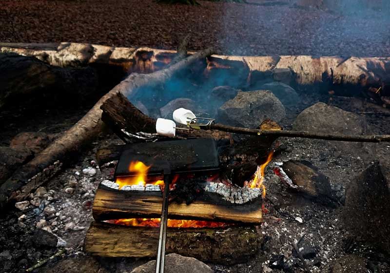 Smoky Nights and Starry Skies: How to Cook Bush Tucker Like an Aussie Camper
