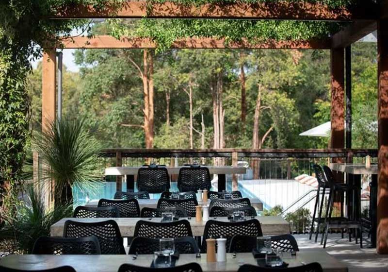 Warrior Restaurant & Bar — Where the Spirit of the Sunshine Coast Meets the Heart of the Zoo