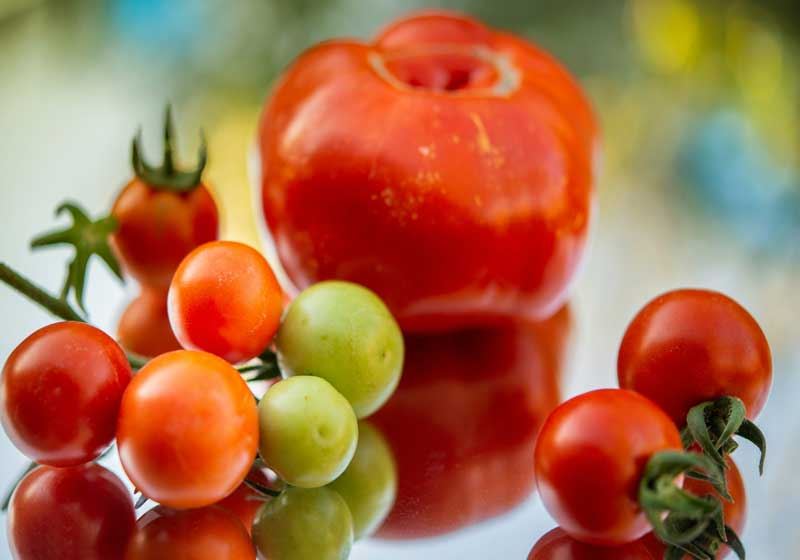 Fresh and In Season: Tomatoes + 3 Recipes