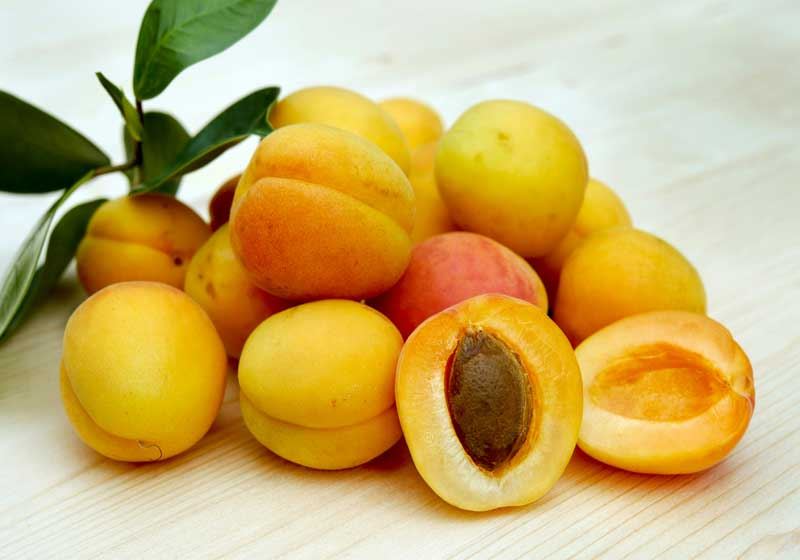 Fresh and In Season: Apricots + 3 Recipes