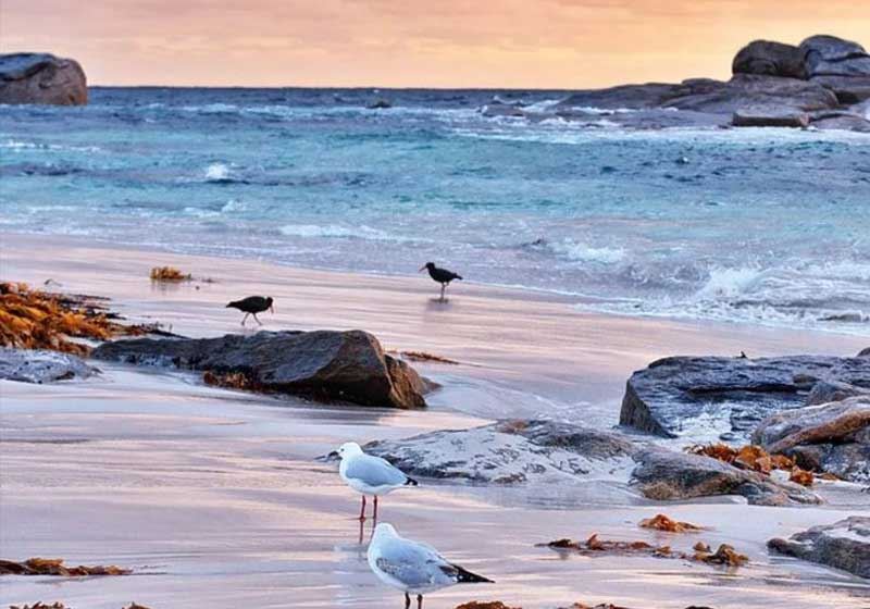 Coast to Coastline: Australia’s Mediterranean-style Escapes in Fleurieu, Bellarine & Coastal WA