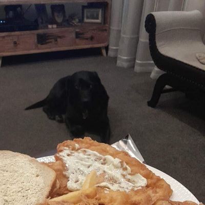 Gee's Takeaways
