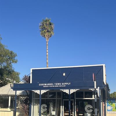 Coromandel Town Supply