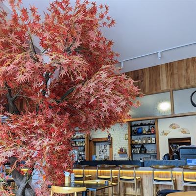 Takeichi New Zealand