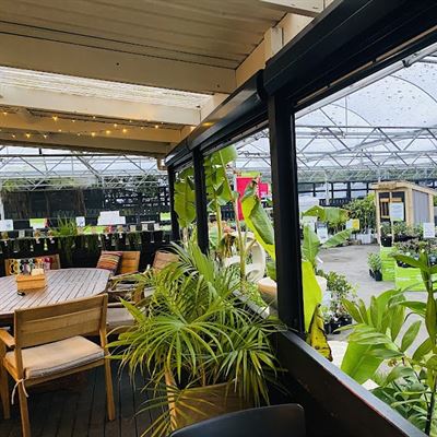 Cafe Botannix New Plymouth