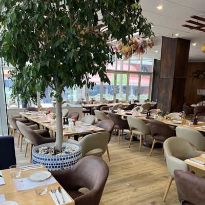 Aubergine Restaurants