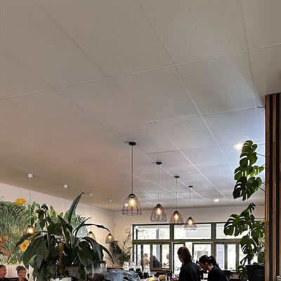 The Local