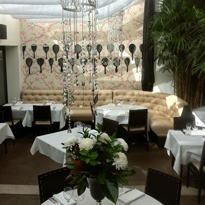 Cibo