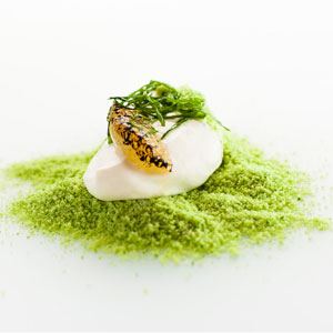 Green Pea, Yoghurt, Lime and Mint