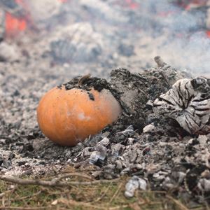 Ember Roast Pumpkin with Coriander, Almonds and Tahini Yoghurt Sauce - Chef Recipe by Rodney Dunn