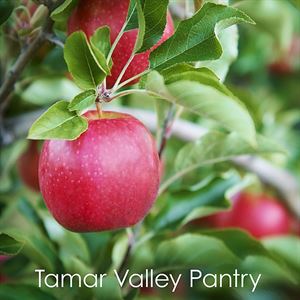Tomato and Fennel Tart with Basil Mascarpone - Chef Recipe by John T. Bailey