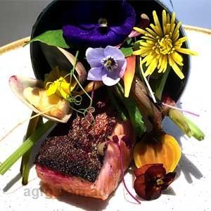 Ora King Salmon - Chef Recipe by Craig Robertson