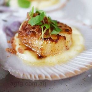 Seared Hervey Bay Scallops, Cauliflower Puree and Pancetta - Chef Recipe by Phong Nguyen