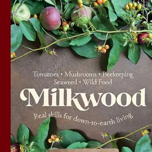 Slow-cooked Kelp, Bean, Lamb and Wild Greens Stew - by Kirsten Bradley and Nick Ritar