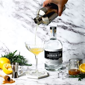 Lemon and Manuka Honey Gin Fizz