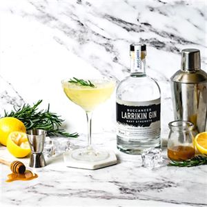Lemon and Manuka Honey Gin Fizz