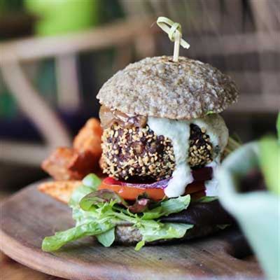 Elixiba Hemp Patties