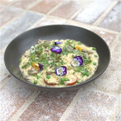 Mushroom Risotto - Chef Recipe by Brett Humphries