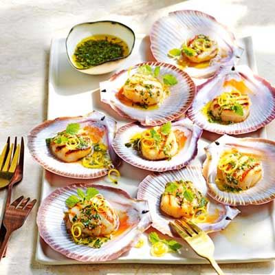 Herbed Scallops